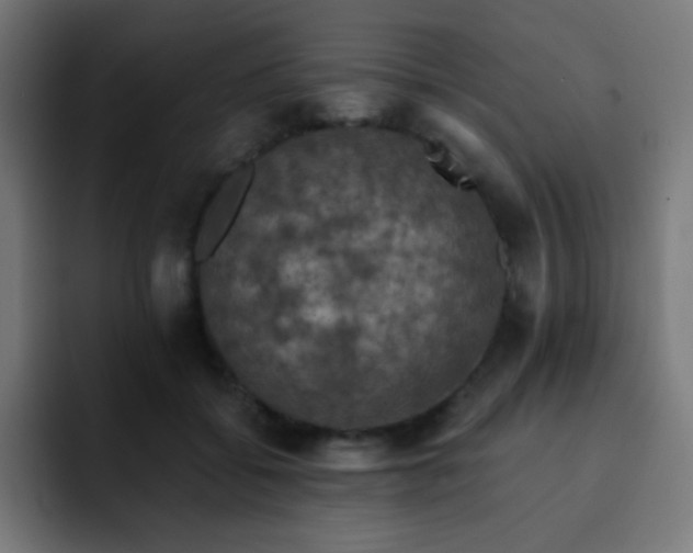 X0000093130556200710031354