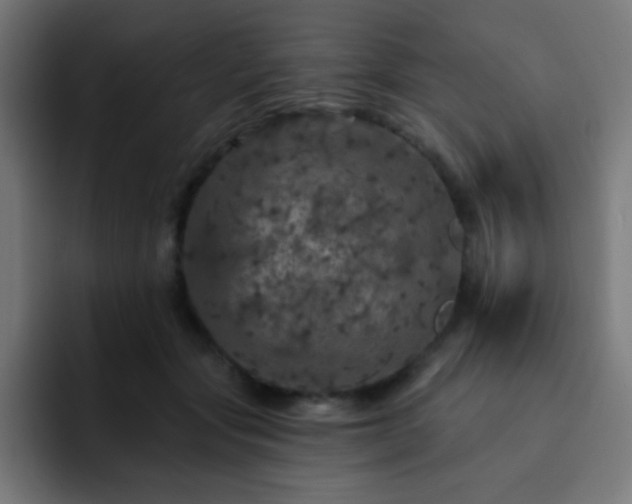 X0000093130557200710031354