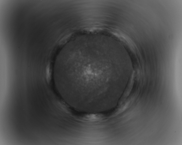 X0000093130558200710031354