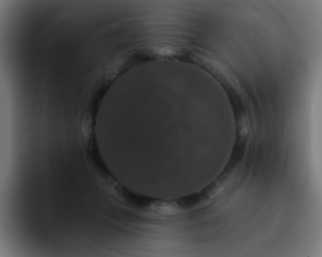 X0000093130559200710031354