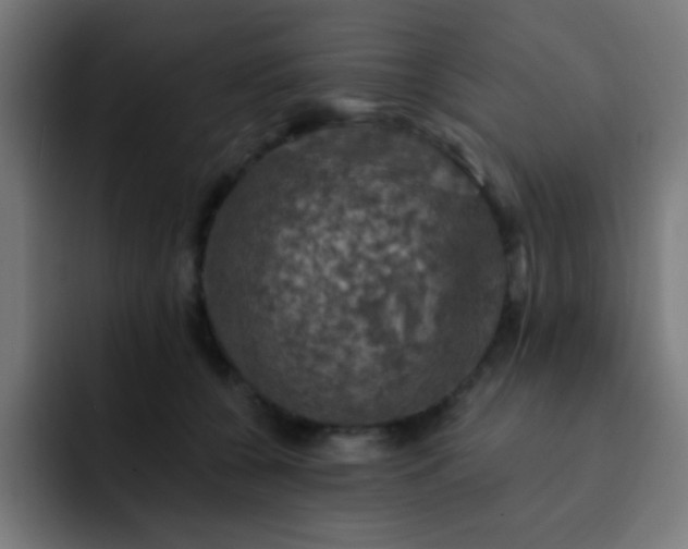 X0000093130560200710031354