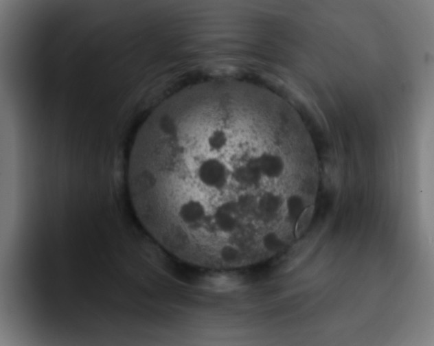 X0000093130561200710031354