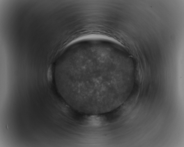 X0000093130562200710031354
