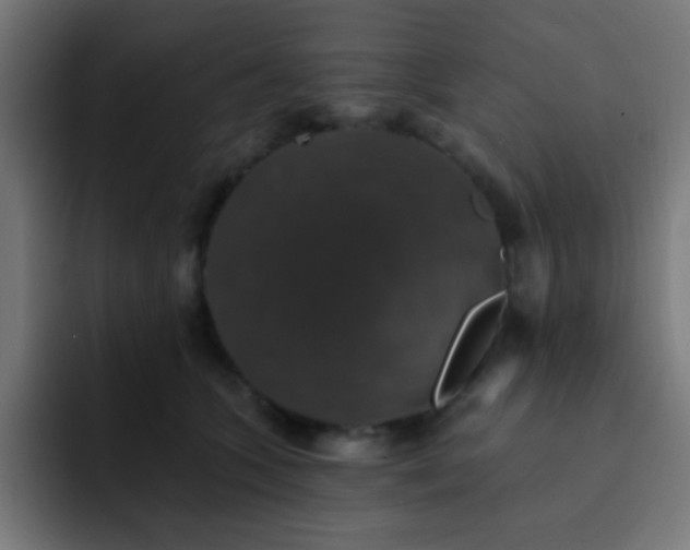 X0000093130563200710031354