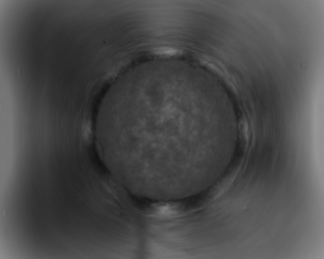 X0000093130564200710031354
