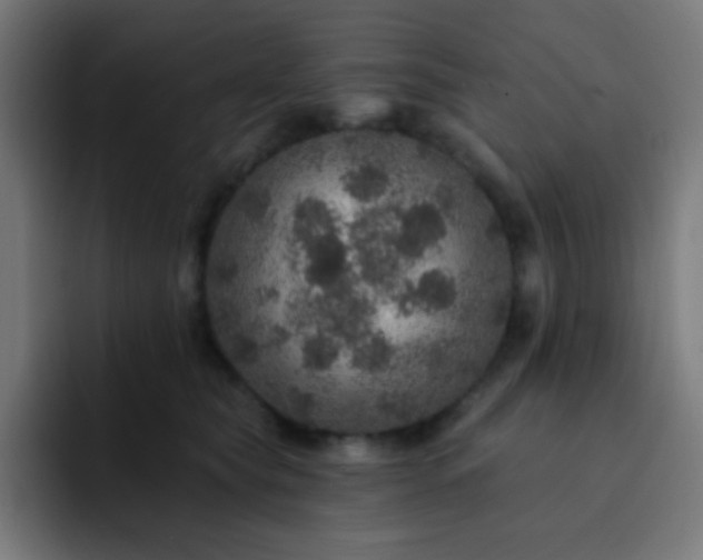 X0000093130565200710031354