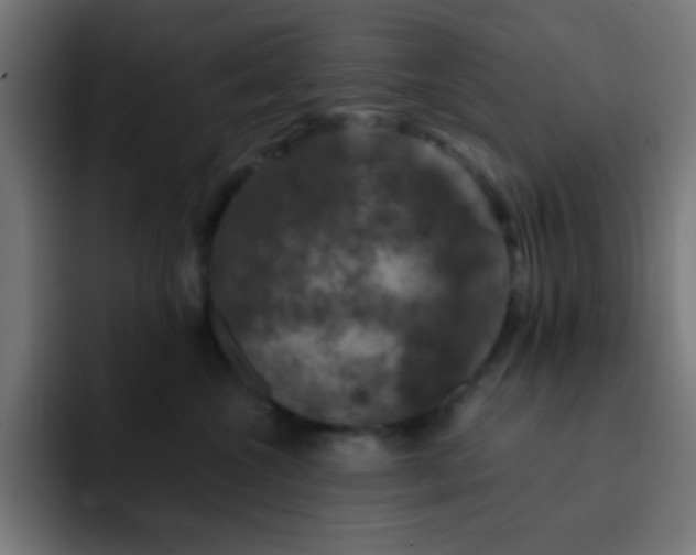 X0000093130572200710031354