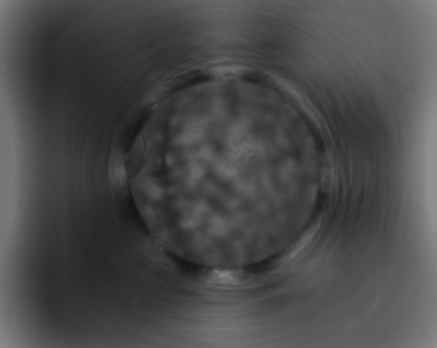X0000093130573200710031354