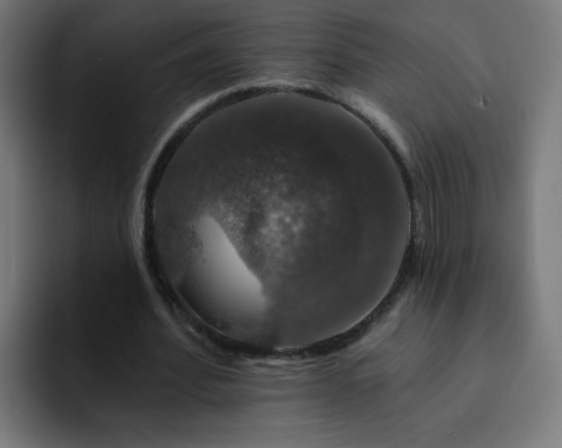 X0000093130580200710031353