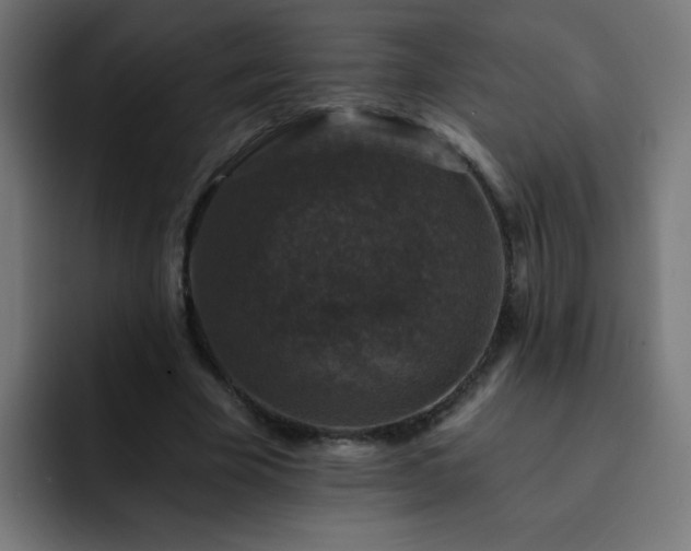 X0000093130585200710031353