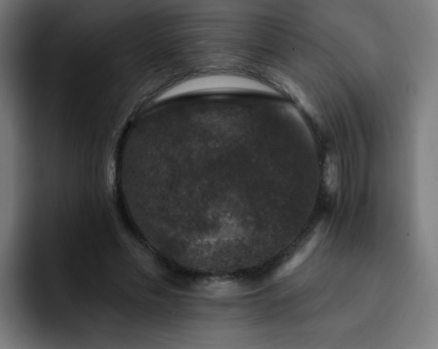X0000093130589200710031353