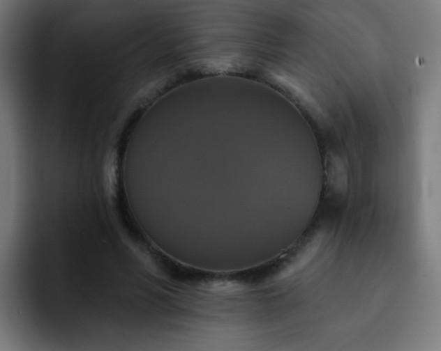 X0000093130590200710031353