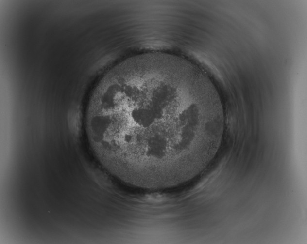 X0000093130591200710031353