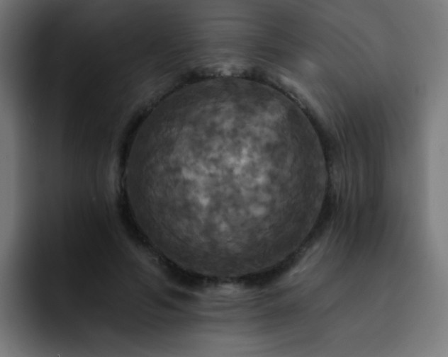 X0000093130594200710031353