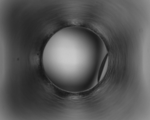 X0000093130595200710031353