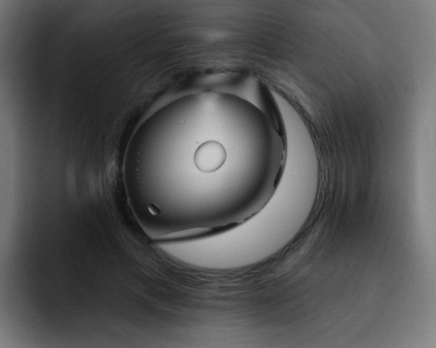 X0000093130597200710031353