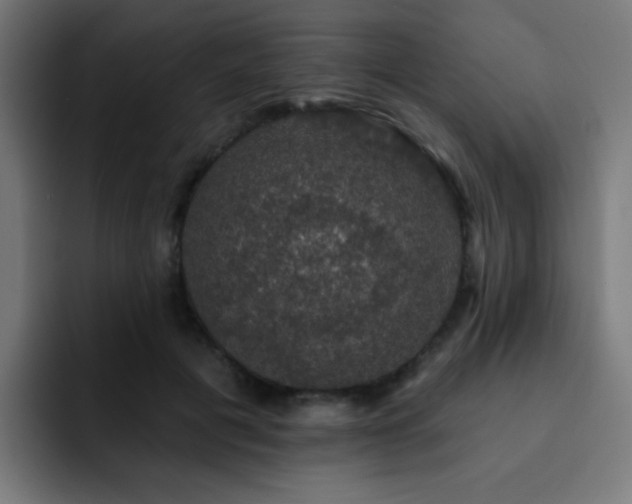 X0000093130601200710031353