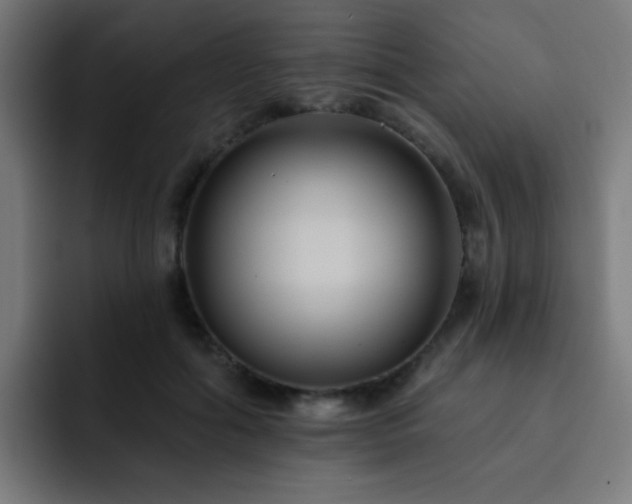 X0000093130602200710031353