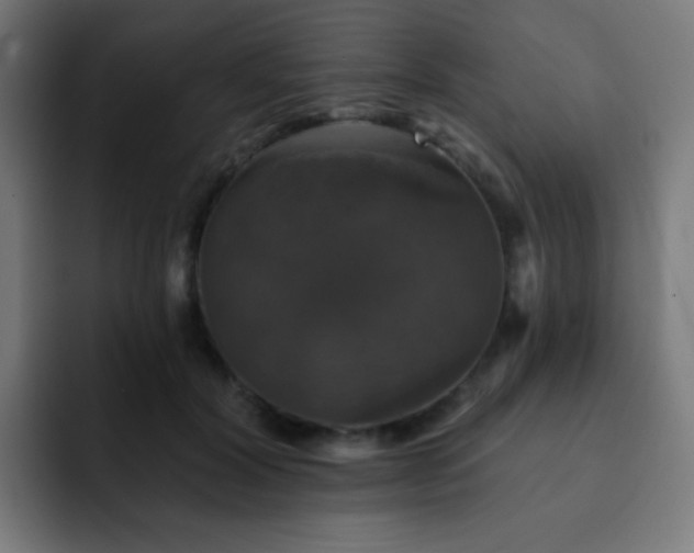 X0000093130604200710031353