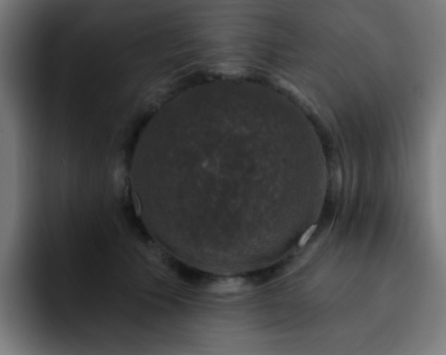 X0000093130609200710031353