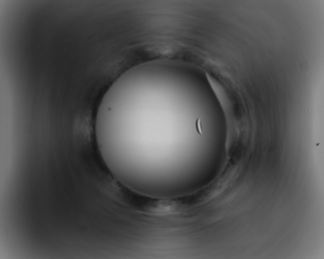 X0000093130612200710031353