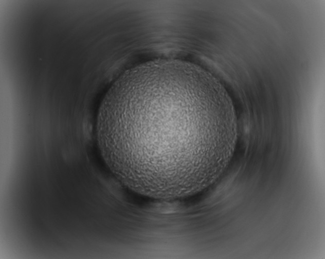 X0000093130615200710031353