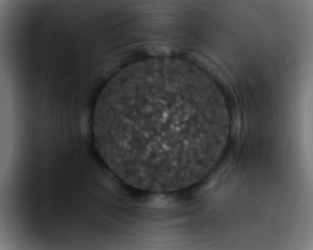 X0000093130616200710031353