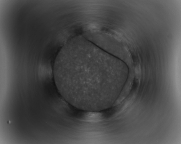 X0000093130617200710031353