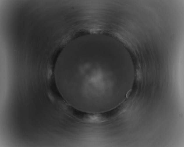 X0000093130618200710031353