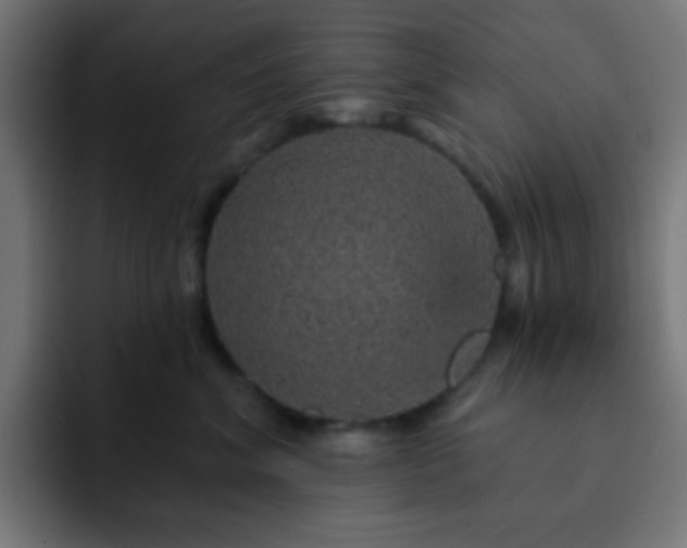 X0000093130620200710031353