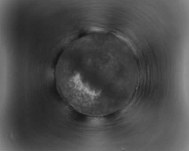 X0000093130621200710031353