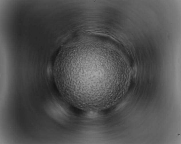 X0000093130623200710031353