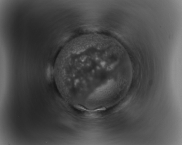 X0000093130624200710031353