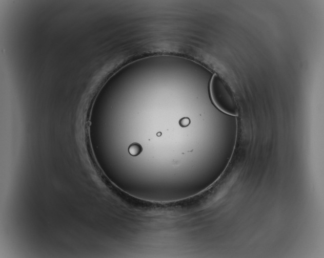 X0000093130625200710031352