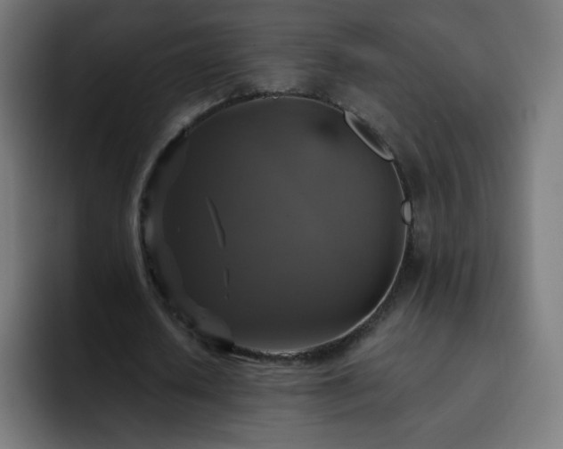 X0000093130626200710031352