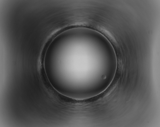 X0000093130628200710031352