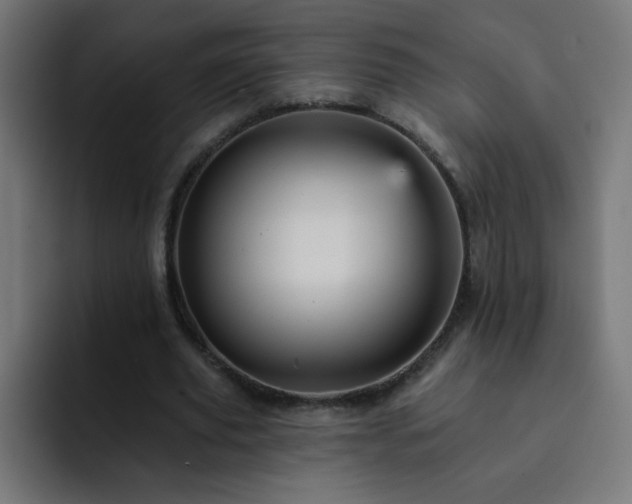 X0000093130629200710031352