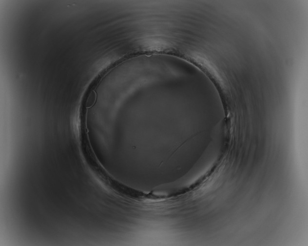 X0000093130630200710031352