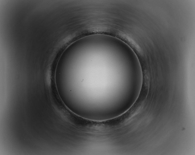 X0000093130631200710031352
