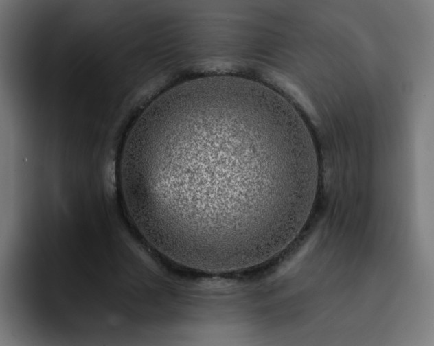 X0000093130633200710031352