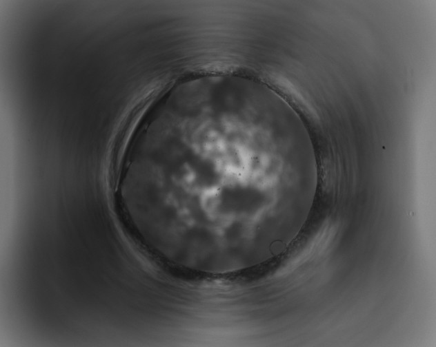 X0000093130634200710031352