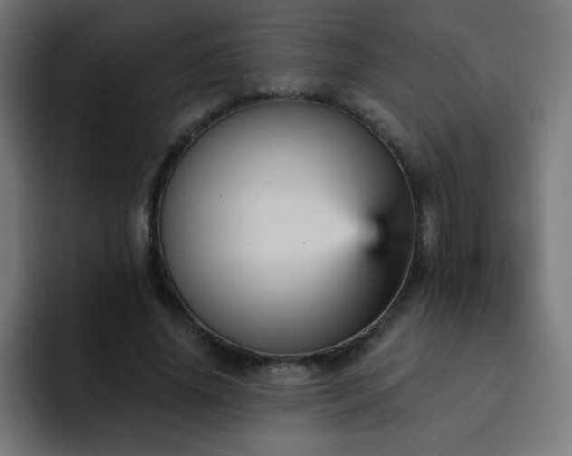 X0000093130636200710031352