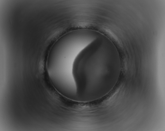 X0000093130640200710031352