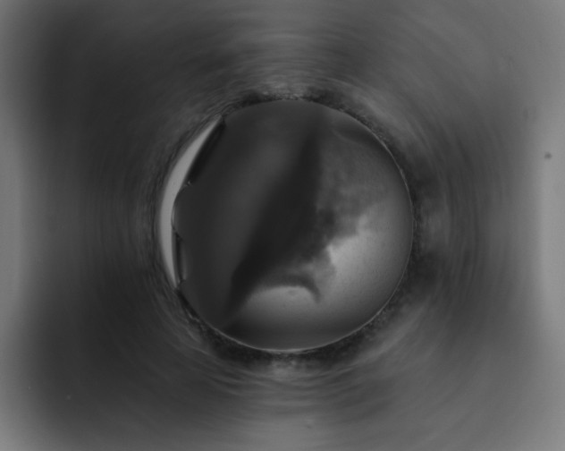 X0000093130641200710031352