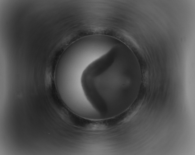 X0000093130644200710031352