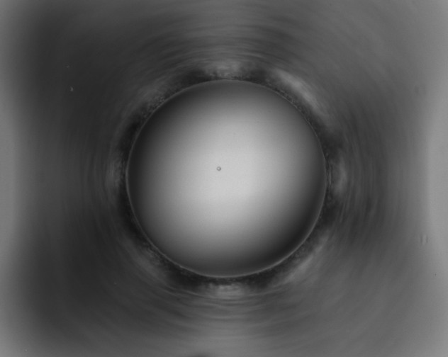 X0000093130645200710031352