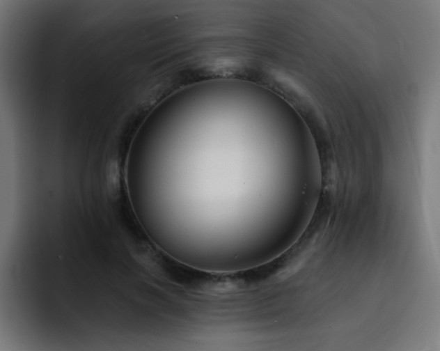 X0000093130646200710031352