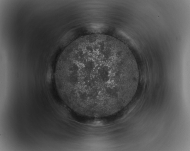 X0000093130647200710031352