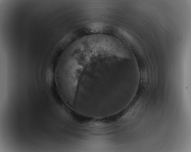 X0000093130648200710031352