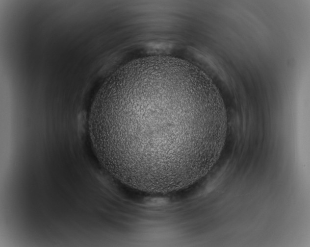 X0000093130649200710031352